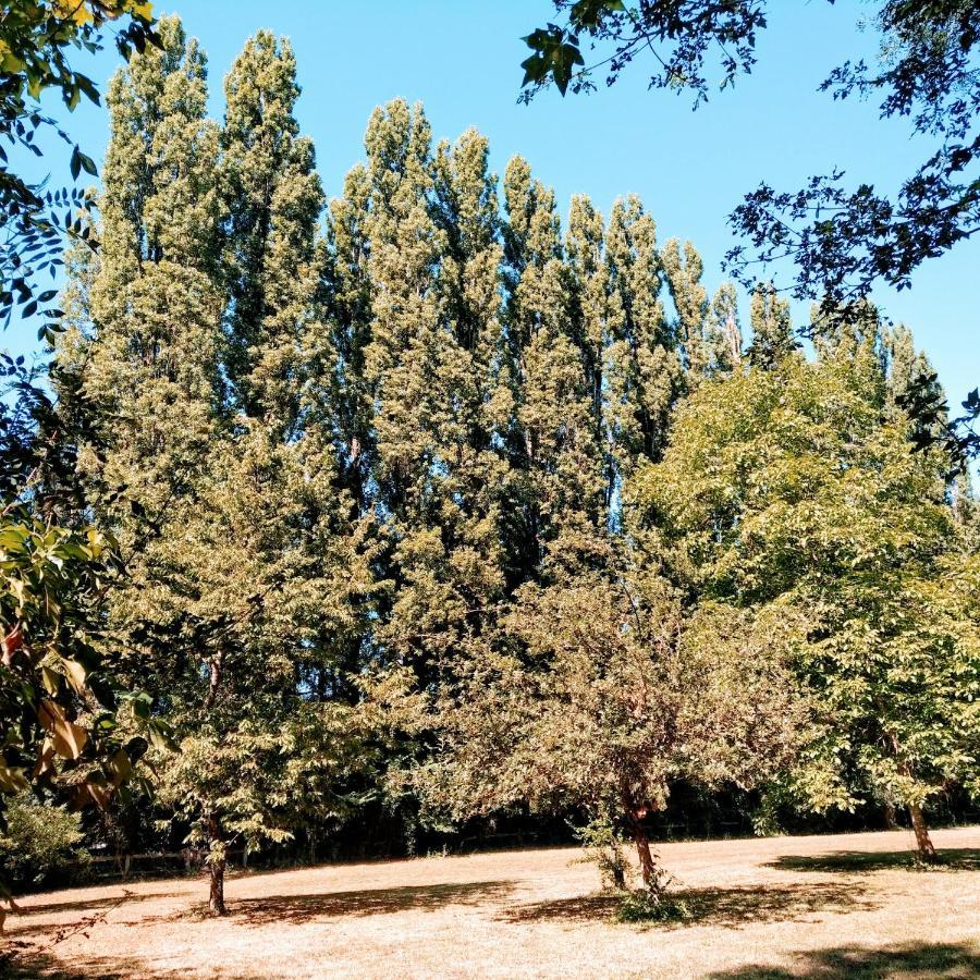 לינה וארוחת בוקר Limeray Domaine De La Clef Des Champs מראה חיצוני תמונה