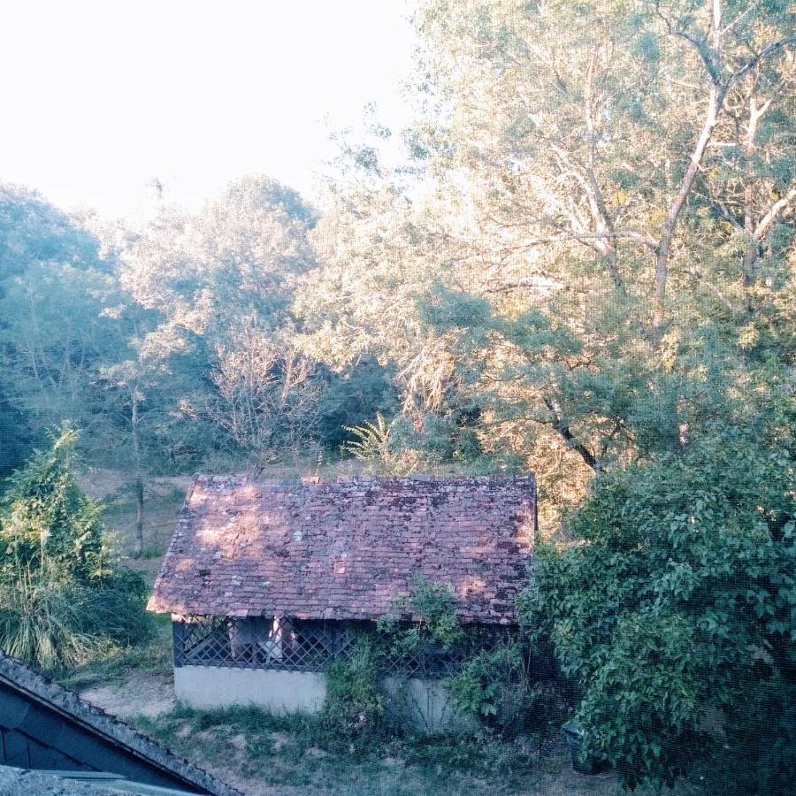לינה וארוחת בוקר Limeray Domaine De La Clef Des Champs מראה חיצוני תמונה