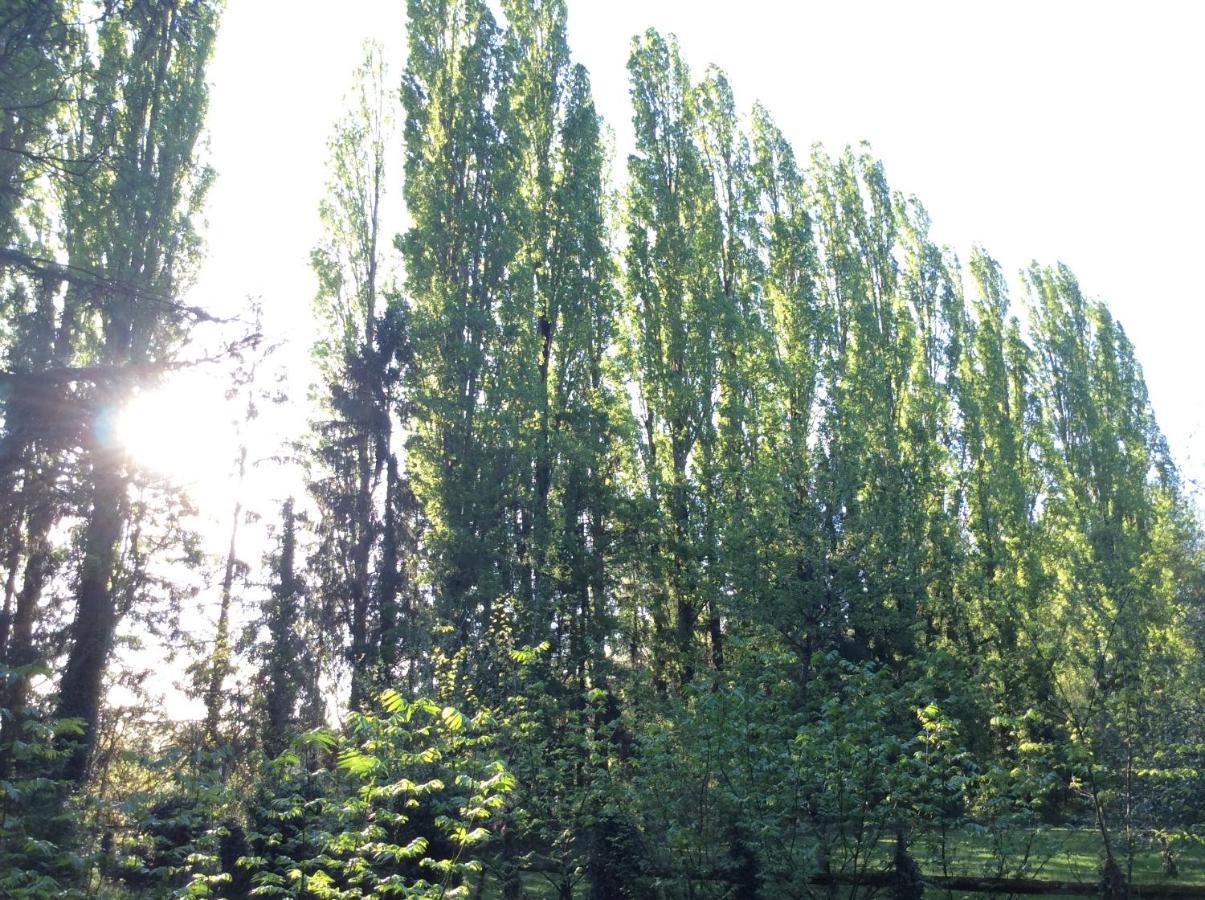 לינה וארוחת בוקר Limeray Domaine De La Clef Des Champs מראה חיצוני תמונה